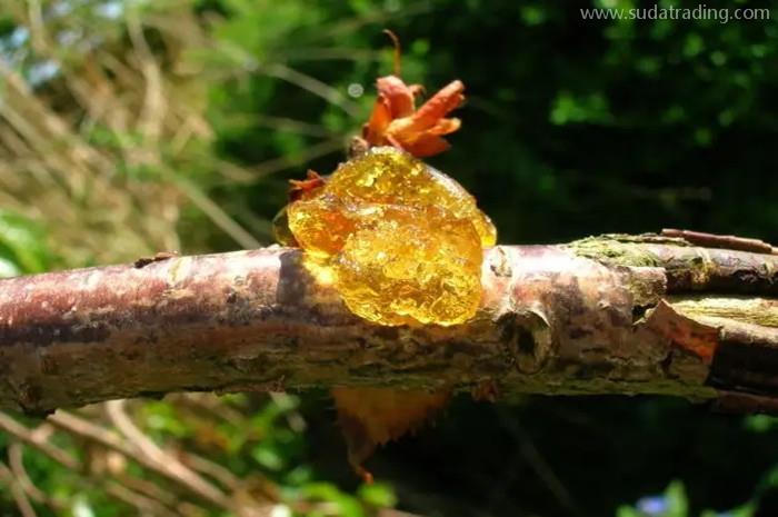 上海樹脂進(jìn)口報(bào)關(guān)代理的3個(gè)注意事項(xiàng) 上海樹脂進(jìn)口報(bào)關(guān)代理的3個(gè)注意事項(xiàng)