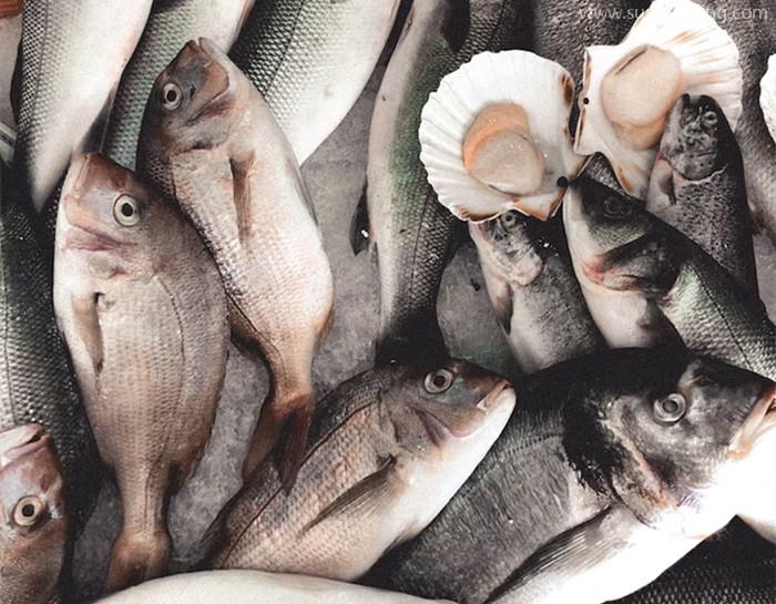 大連進(jìn)口海鮮清關(guān)代理之前,務(wù)必要確定好這幾點 大連進(jìn)口海鮮清關(guān)代理之前,務(wù)必要確定好這幾點