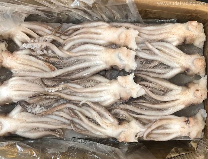 冷凍魷魚進口報關的注意事項以及流程手續 冷凍魷魚進口報關的注意事項以及流程手續