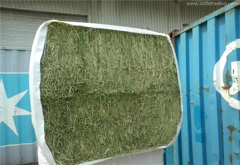 苜蓿草進口報關代理公司帶你了解進口苜蓿草相關知識 苜蓿草進口報關代理公司帶你了解進口苜蓿草相關知識