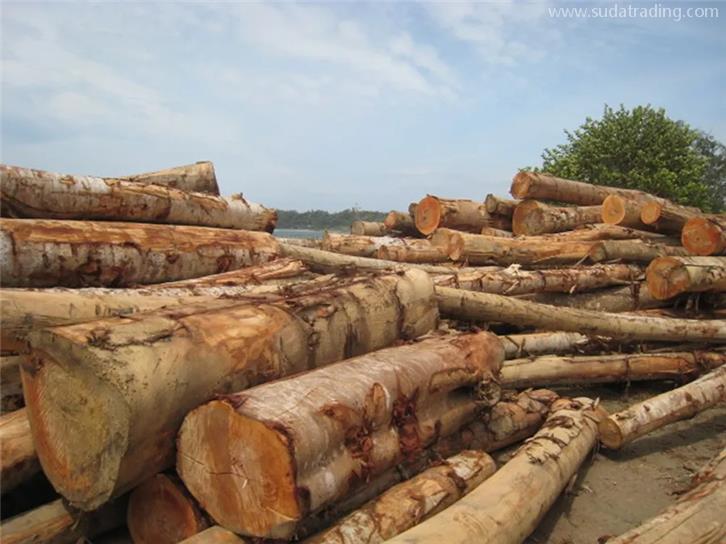 連云港進口木材報關一般貿易流程 連云港進口木材報關一般貿易流程