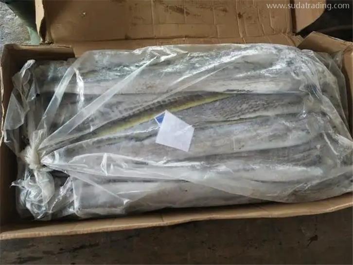 進口印尼冷凍帶魚報關的注意事項，get到了嗎?