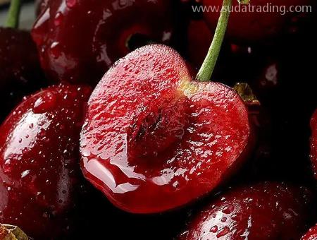 進口智利車厘子深圳蛇口清關網上檢疫審批步驟