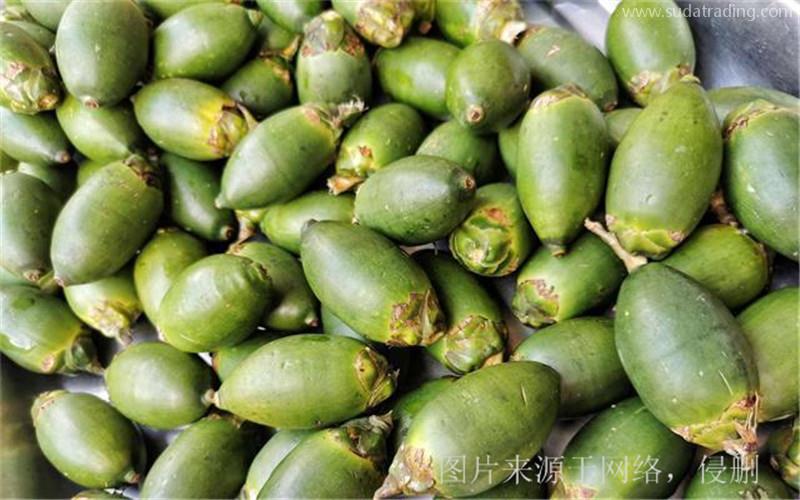 廣西防城港退運檳榔到越南以及緬甸怎么操作? 廣西防城港退運檳榔到越南以及緬甸怎么操作?