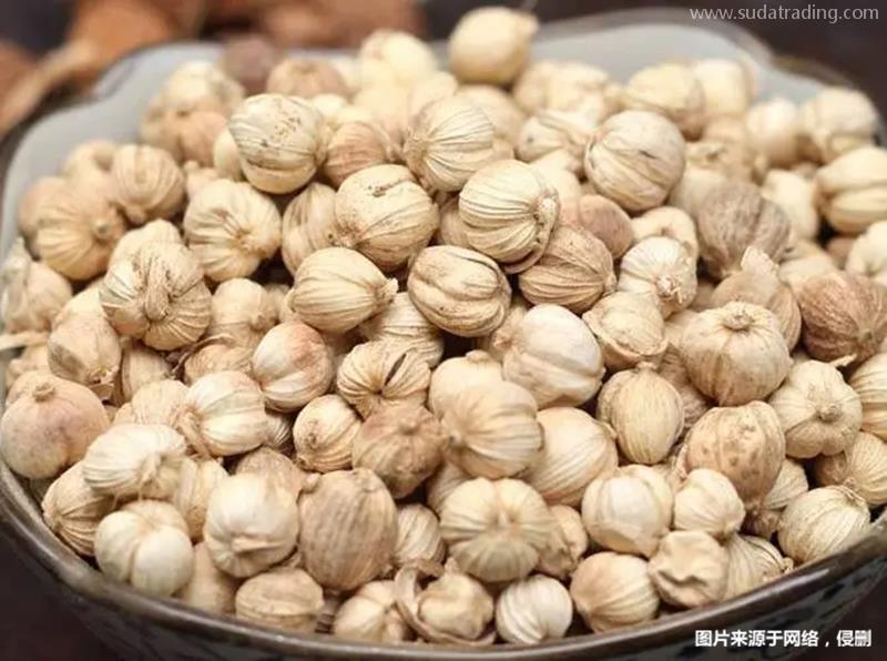 進口老撾豆蔻報關流程進口藥材豆蔻基本流程手續