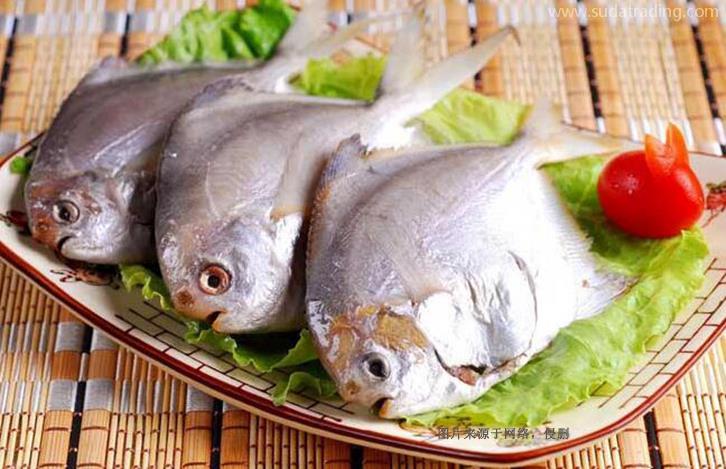 西班牙水產品進口報關資料流程-全國10家分公司 西班牙水產品進口報關資料流程-全國10家分公司