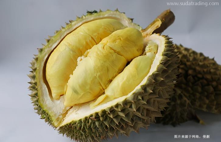 越南榴蓮進口清關資料提供這6樣-19年水果報關行 越南榴蓮進口清關資料提供這6樣-19年水果報關行