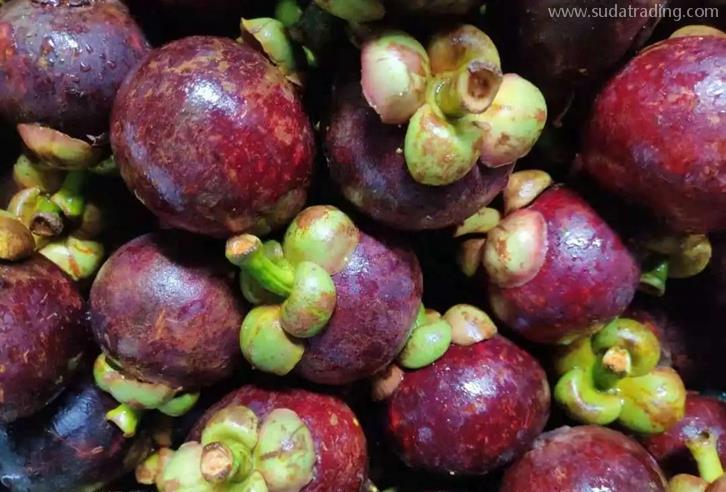 越南山竹進(jìn)口清關(guān)費(fèi)用水果山竹進(jìn)口清關(guān)流程 越南山竹進(jìn)口清關(guān)費(fèi)用水果山竹進(jìn)口清關(guān)流程