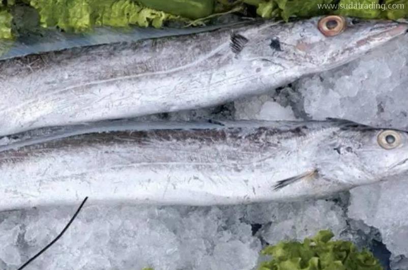 帶魚進口報關清關流程 帶魚進口報關清關流程