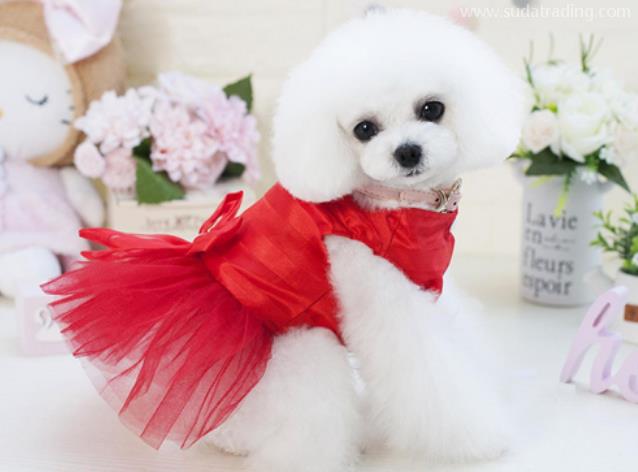 寵物洗護(hù)用品進(jìn)口報(bào)關(guān)清關(guān)流程 寵物洗護(hù)用品進(jìn)口報(bào)關(guān)清關(guān)流程