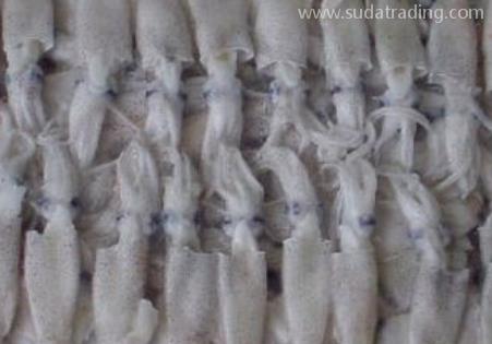 冷凍魷魚(yú)進(jìn)口報(bào)關(guān)知識(shí) 冷凍魷魚(yú)進(jìn)口報(bào)關(guān)知識(shí)
