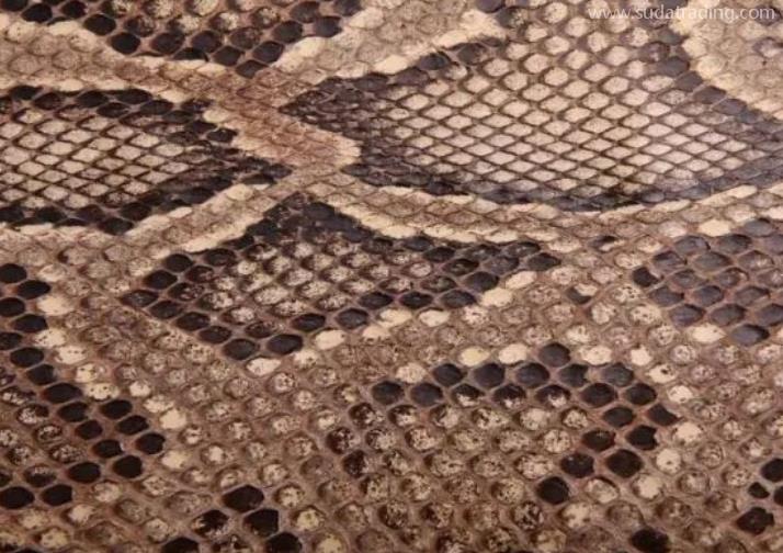 蟒蛇皮進(jìn)口報(bào)關(guān)清關(guān)知識(shí)小課堂 蟒蛇皮進(jìn)口報(bào)關(guān)清關(guān)知識(shí)小課堂