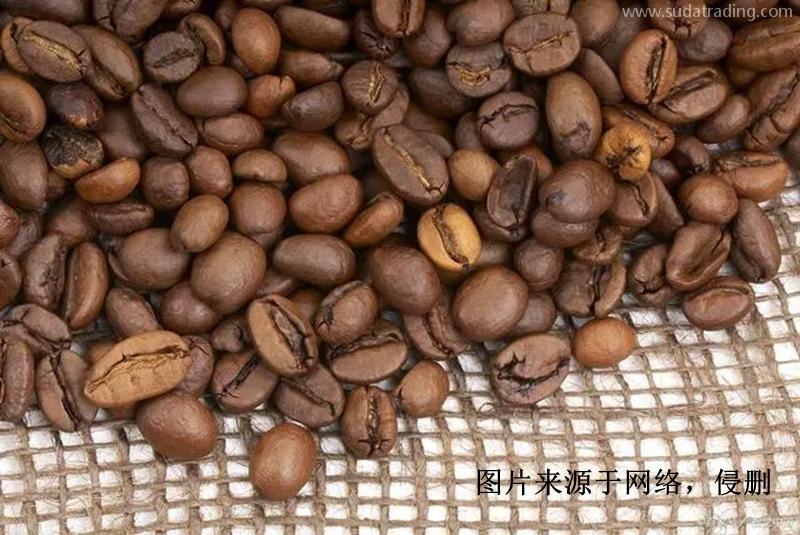 印尼進(jìn)口報(bào)關(guān)行哪家好？印度尼西亞可可豆清關(guān)資料