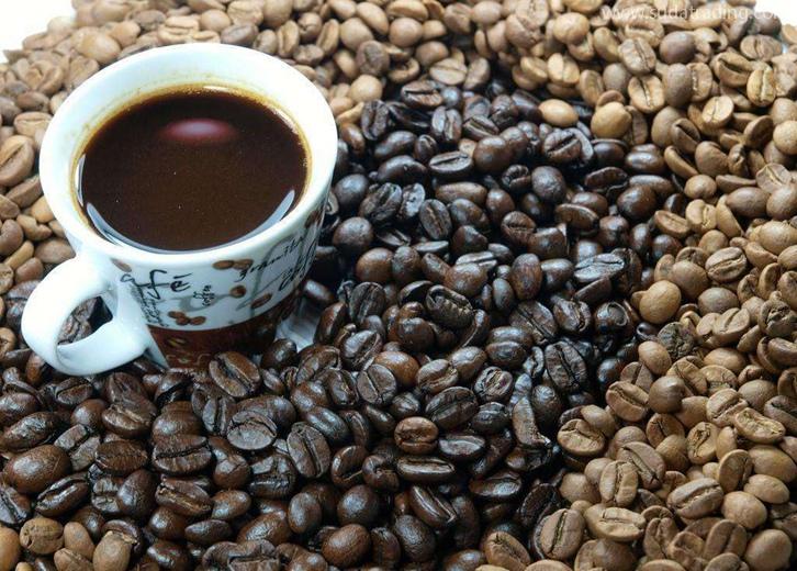 東帝汶進(jìn)口報(bào)關(guān)公司哪家好?東帝汶咖啡豆清關(guān)流程 東帝汶進(jìn)口報(bào)關(guān)公司哪家好?東帝汶咖啡豆清關(guān)流程