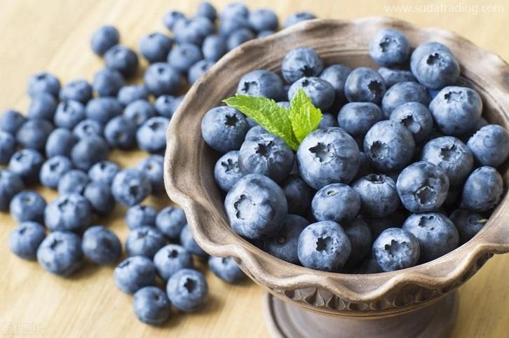 上海進口加拿大藍莓報關資料藍莓清關注意事項 上海進口加拿大藍莓報關資料藍莓清關注意事項