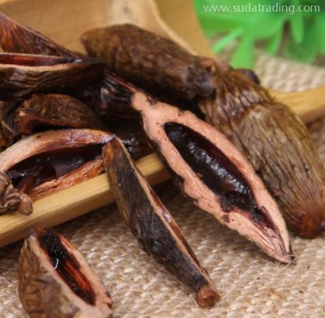 干檳榔進口到底算不算違規操作？