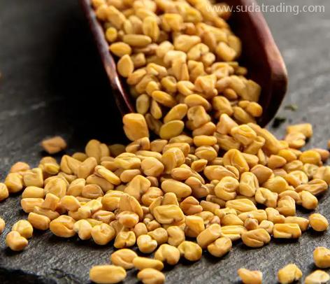 印度葫蘆巴子如何進口？