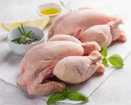 【進口知識】帶你了解進口雞類產品的世界